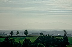 遥かの景