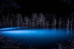青い池　ライトアップ