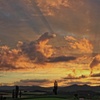 美田の夕焼け