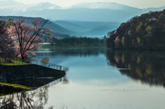 春の実感