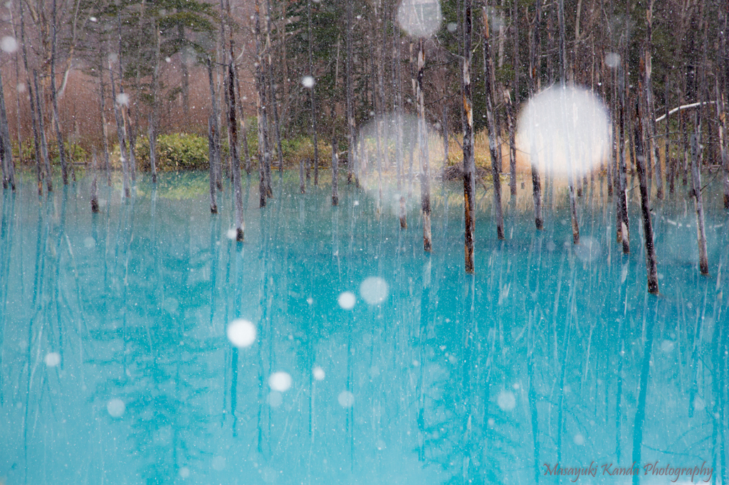 青い池 Snow