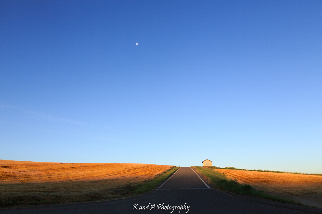 Hot summer morning