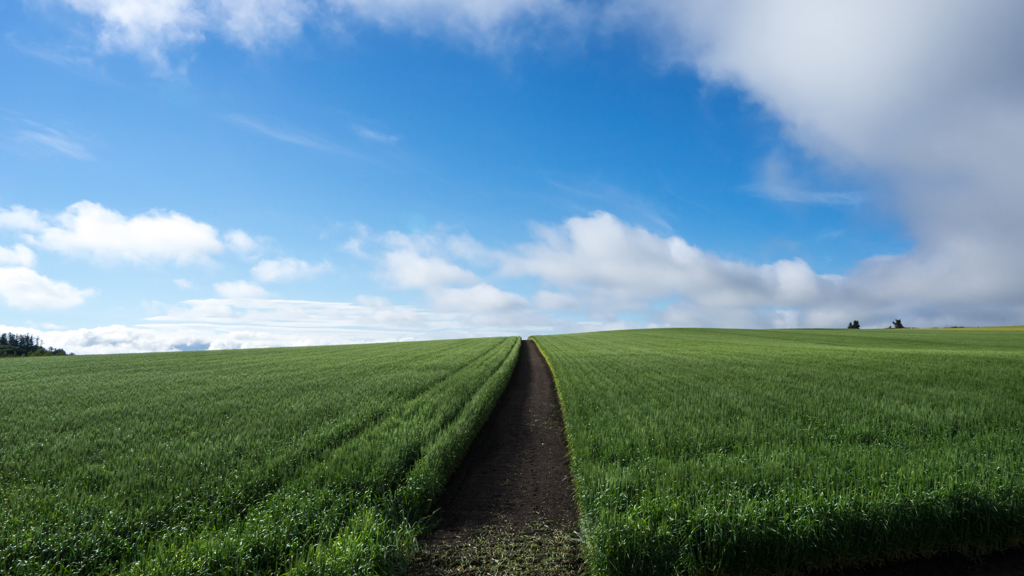 空へのカタパルトであったら