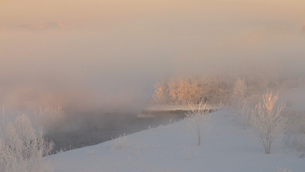 Misty morning 4