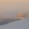 Misty morning 4