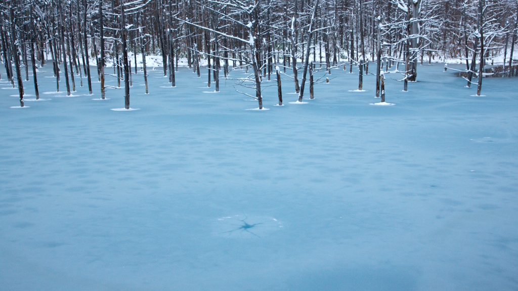 The Blue Sherbet Pond ７