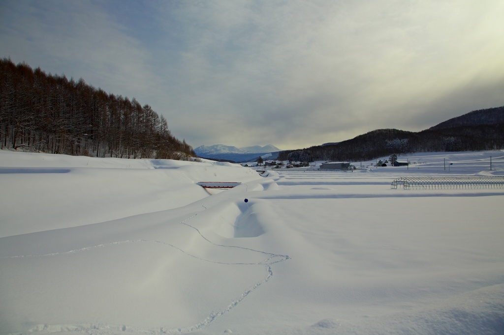 遙か大雪