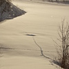Snow field 5