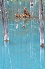 The Blue 4