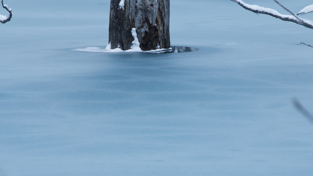 The Blue Sherbet Pond 12
