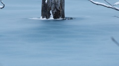 The Blue Sherbet Pond 12