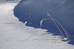 雪冬寸描３