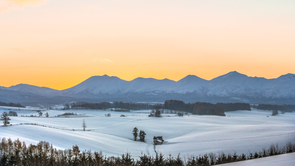 雪原の朝