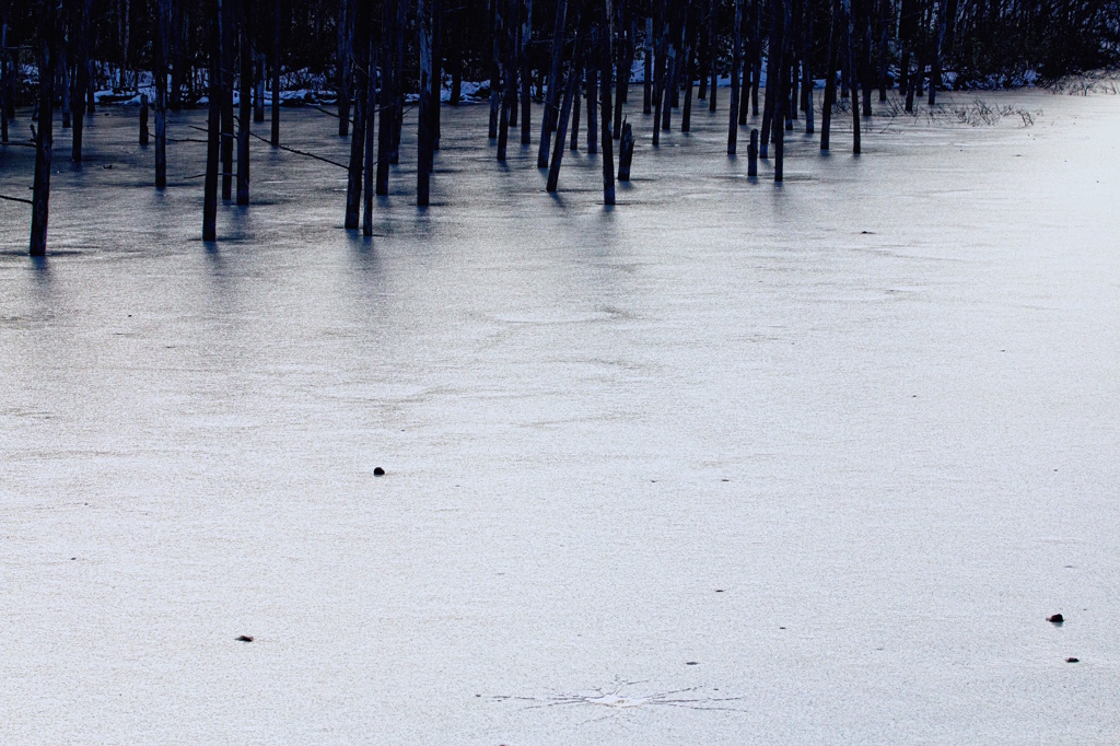 The Silver Pond