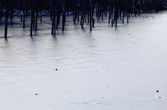 The Silver Pond