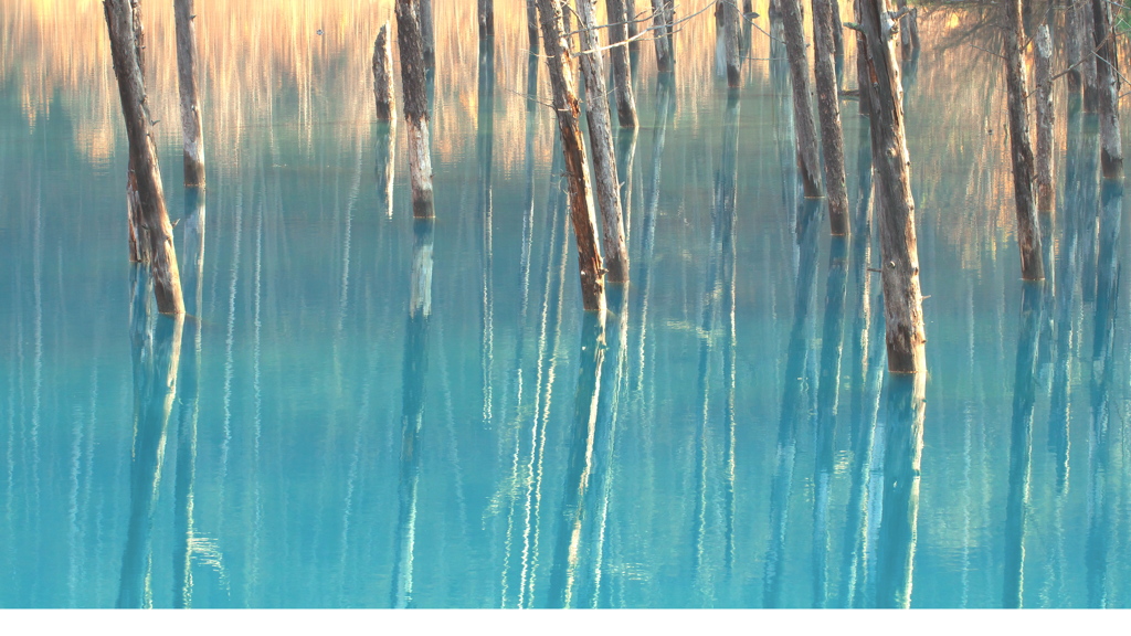 青い池寸景７