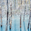 雪舞の池２