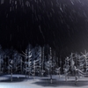 雪降る夜３　星降る如く