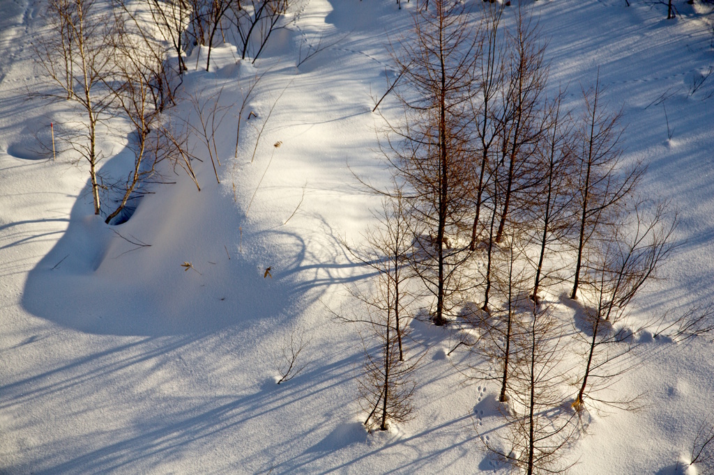 Snow field 6