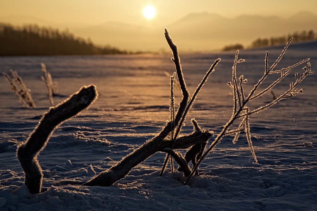 At sunrise