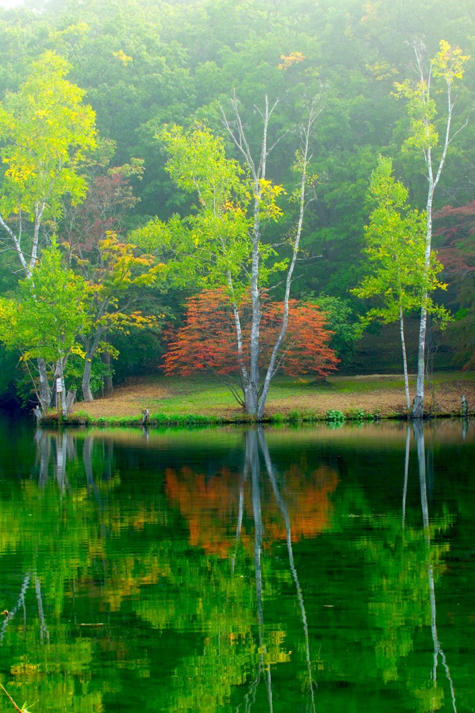 鳥沼の紅葉