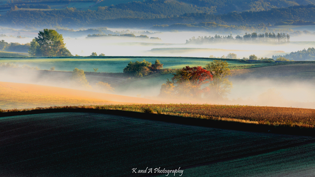 Early autumn light