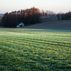 Green of Early May 1