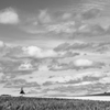 Monochrome Summer