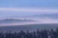 美瑛淡景２