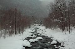 大雪山源流へ向かう