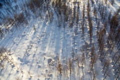 Snow field 2