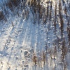 Snow field 2