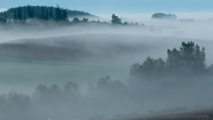 Misty September 11 流白