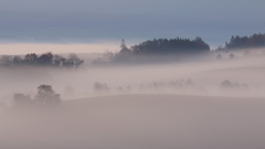 SilkyFog2