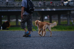 DSC_0621