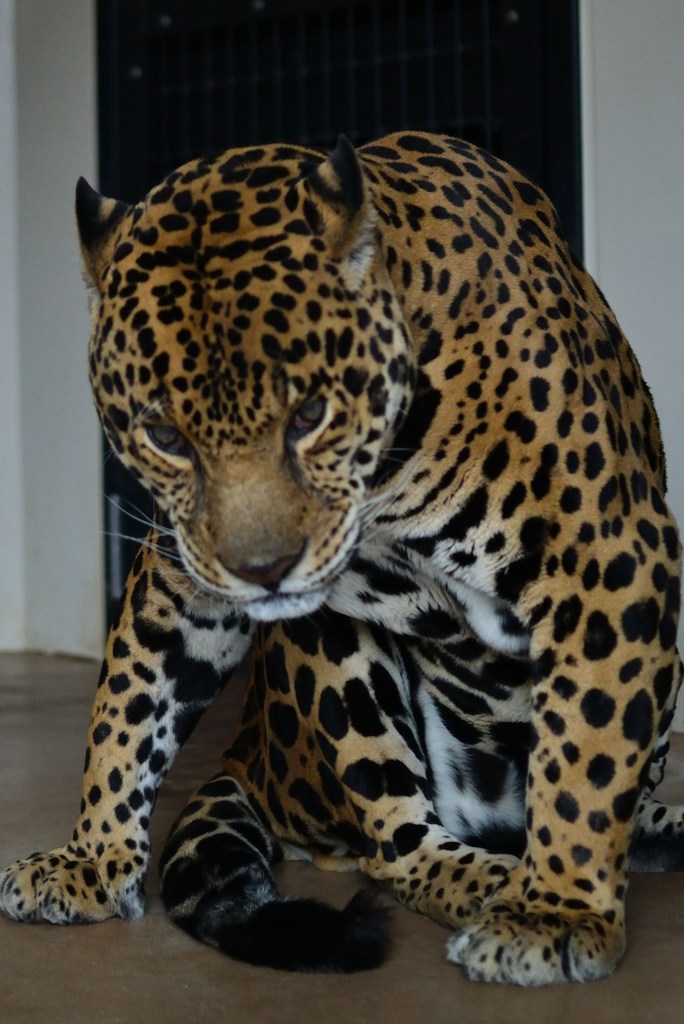 DSC_1138_007
