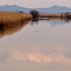 渡良瀬の夕景