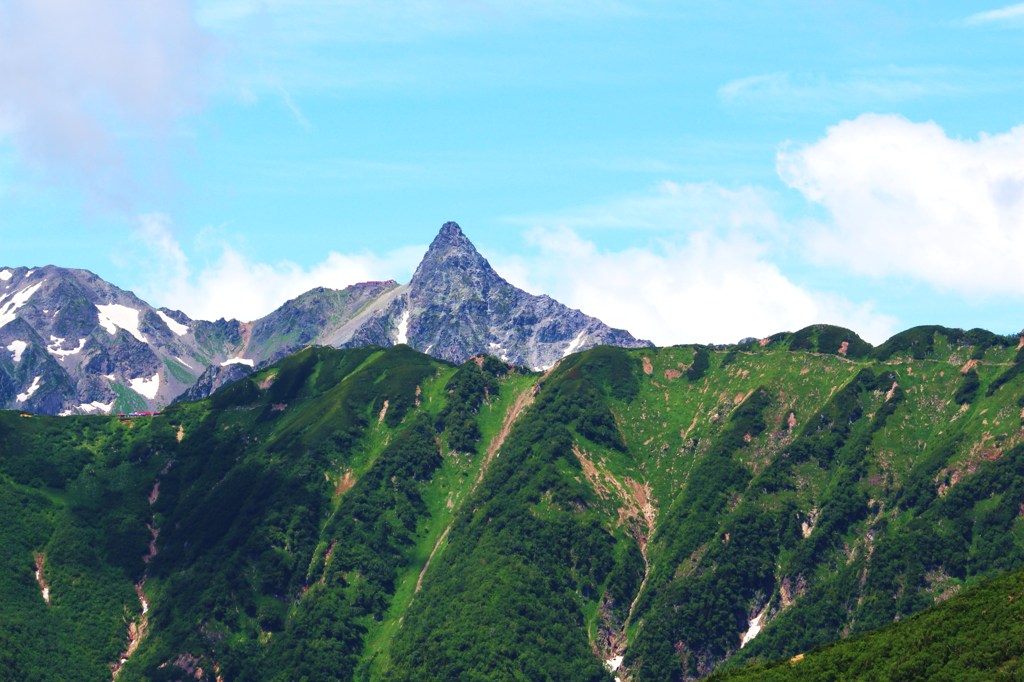 夏山