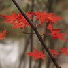 草津、西の河原公園露天風呂
