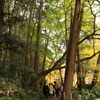 成田山公園