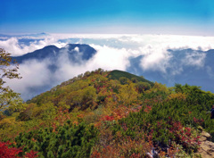 富士山が見える景色