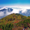 富士山が見える景色