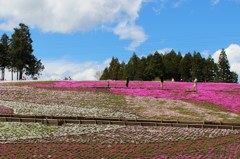 ほのぼの