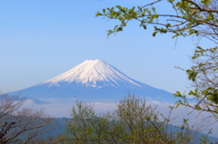 風林火山