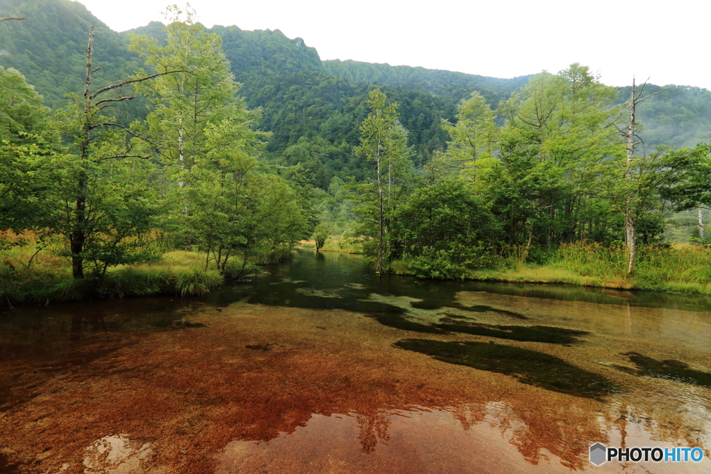 田代池