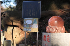 蛸杉