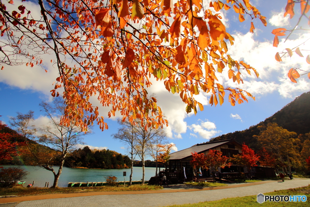 奥日光 湯の湖