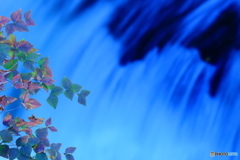 奥日光　竜頭の滝