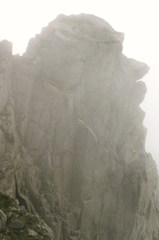 岩男