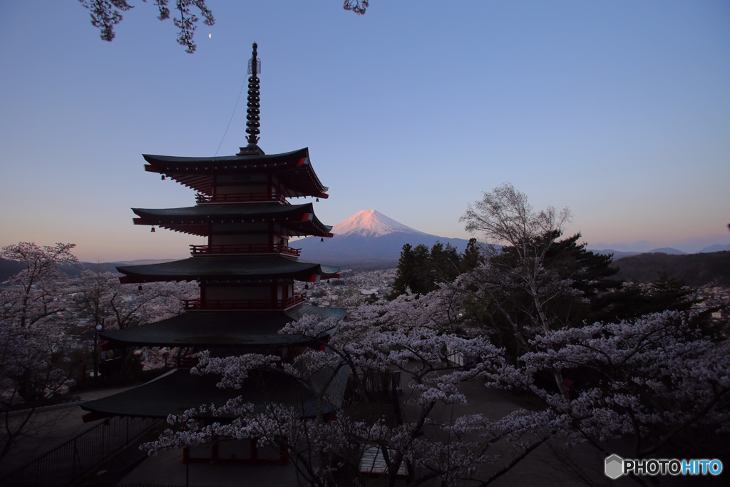 新倉山浅間神社